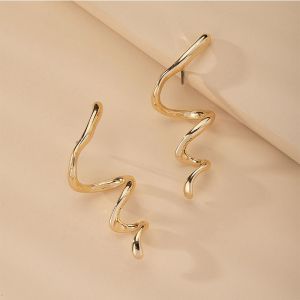Snake-shaped Popular Metal Earrings