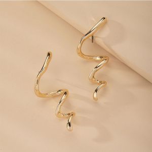 Snake-shaped Popular Metal Earrings