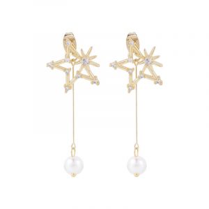  Star Tassel Long  Needle Alloy Earrings